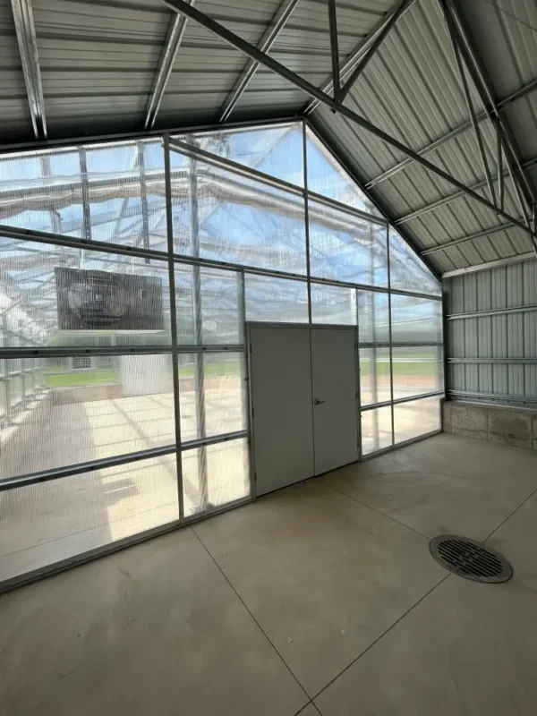 Maple Greenhouse Clear Siding