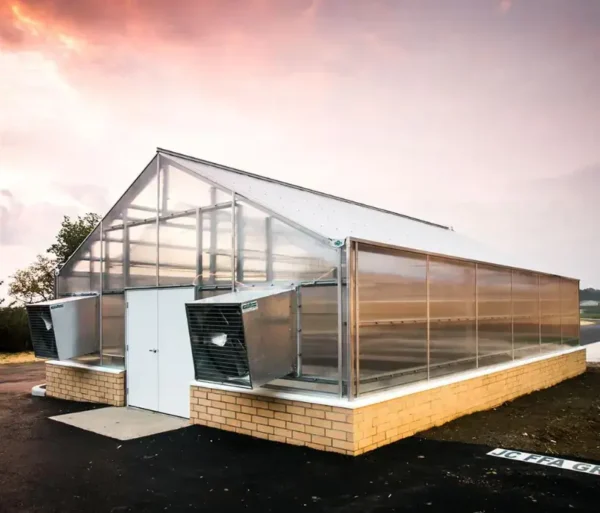 maple greenhouse outside sunset