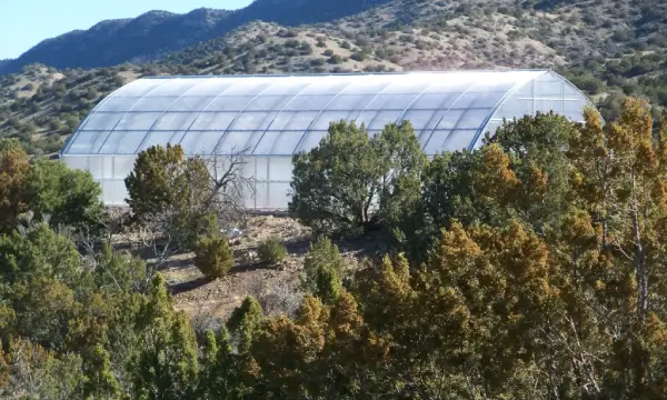 Greenhouse-in-wooded-area