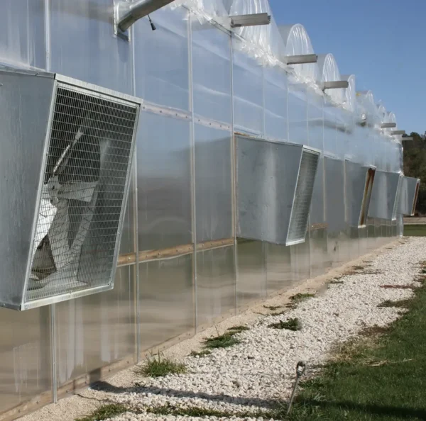 fans on side of greenhouse