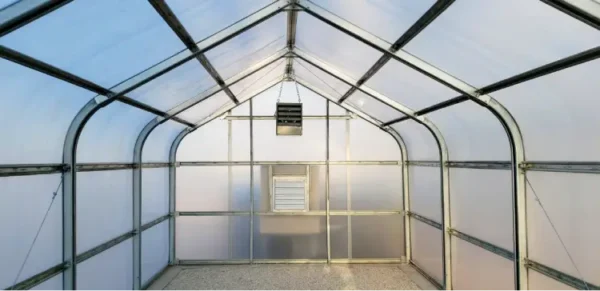 Birch Greenhouse from inside