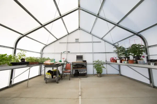 Birch Greenhouse inside with plants