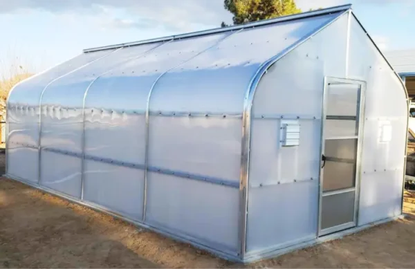Birch Greenhouse outside sunny