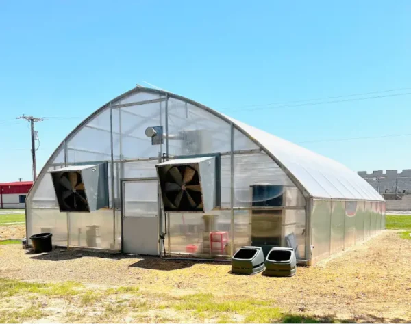 Evergreen Greenhouse Daytime Front