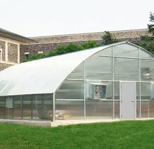 Evergreen Greenhouse Grass