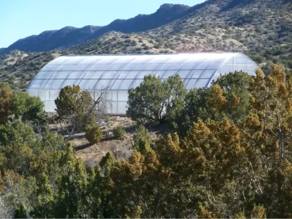 Evergreen Greenhouse in wooded area
