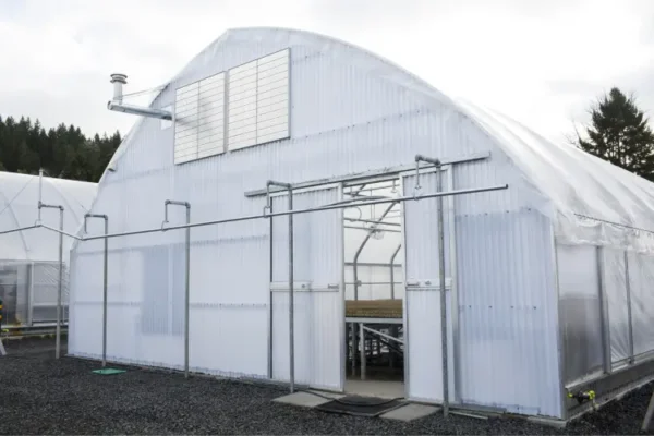 Evergreen Greenhouse white on gravel